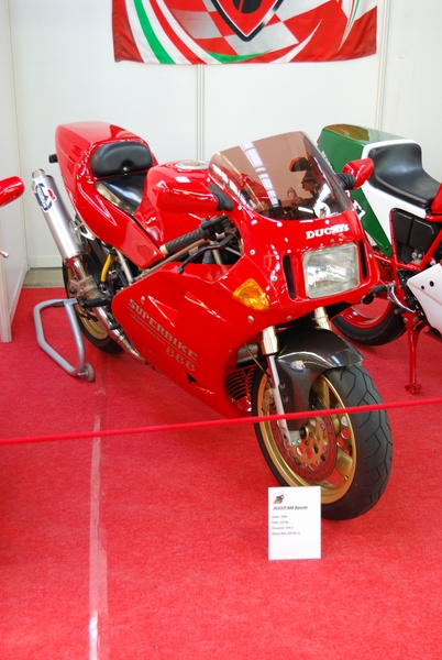 Puce_Niort_2009_014 [800x600].jpg